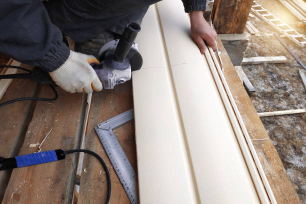 Best Siding Painting and Refinishing  in Fenton, MO